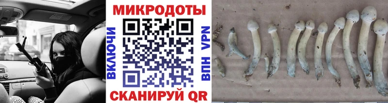Псилоцибиновые грибы Magic Shrooms  Верхняя Пышма 